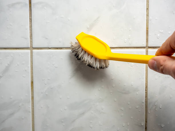 Best Mold Remediation for Specific Building Types in Amelia Court House, VA