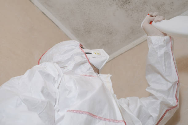 Best White Mold Remediation in Amelia Court House, VA
