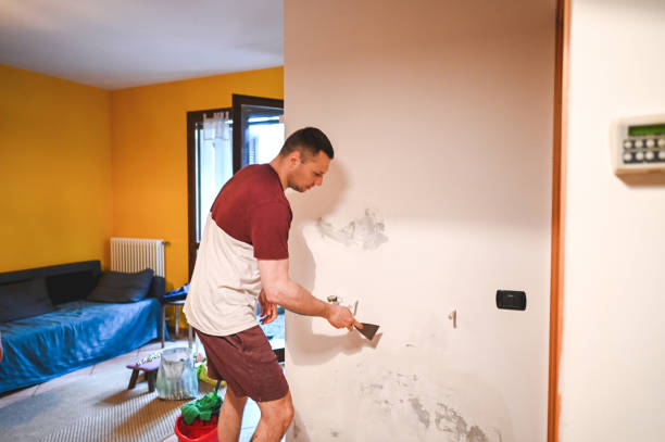 Best Commercial Mold Remediation in Amelia Court House, VA