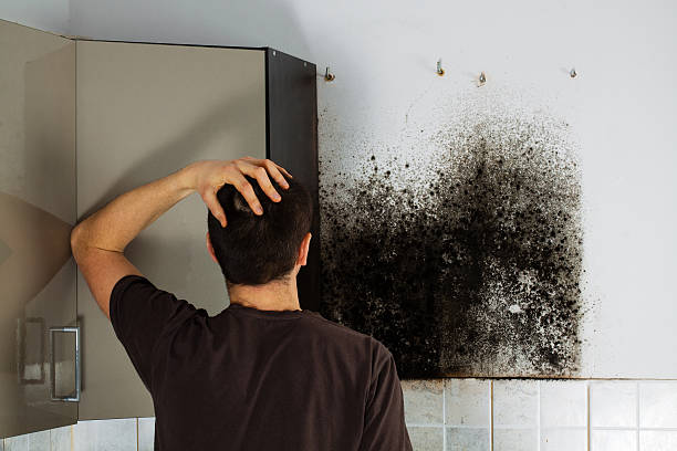 Best Kitchen Mold Remediation in Amelia Court House, VA